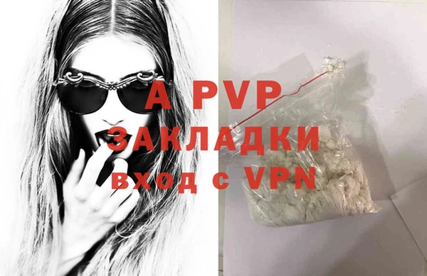 стаф Вяземский