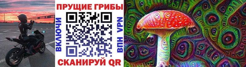 Псилоцибиновые грибы Magic Shrooms  магазин продажи наркотиков  Камень-на-Оби 